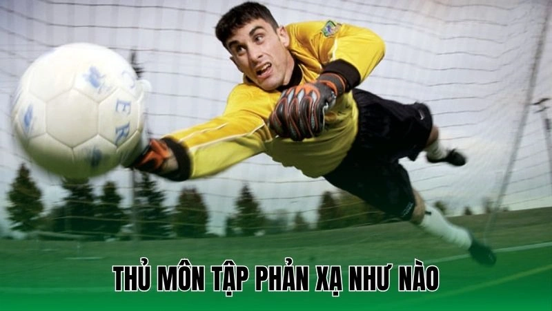 Hướng Dẫn Tập Phản Xạ Cho Thủ Môn - Tường Thành Vững Chắc 2 Thủ môn tập phản xạ như nào