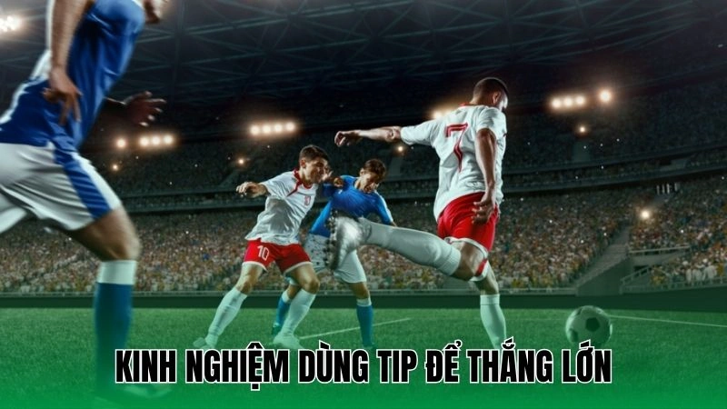 Tip Cá Cược Bóng Đá Việt Nam Giúp Tăng Tỷ Lệ Chiến Thắng 4 Kinh nghiệm dùng tip để thắng lớn